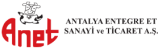 1-anet-logo